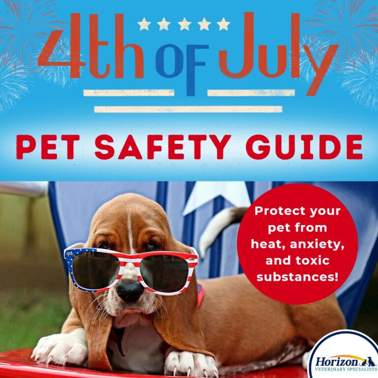 Fourth of July Pet Safety Guide