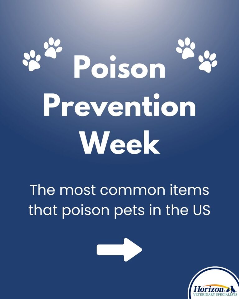 Poison Prevention Basics