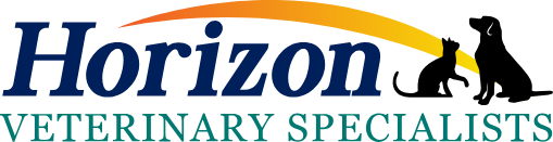 Horizon Veterinary Specialists